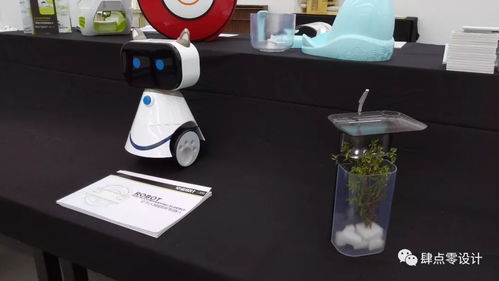 畢業(yè)季 廈門大學(xué)嘉庚學(xué)院2018產(chǎn)品設(shè)計專業(yè)本科畢業(yè)展